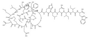Endothelin 1