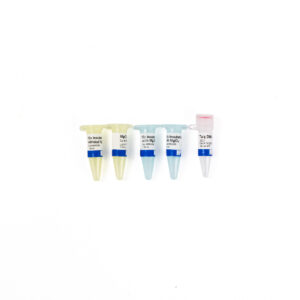 Taq DNA Pol (5U/uL)