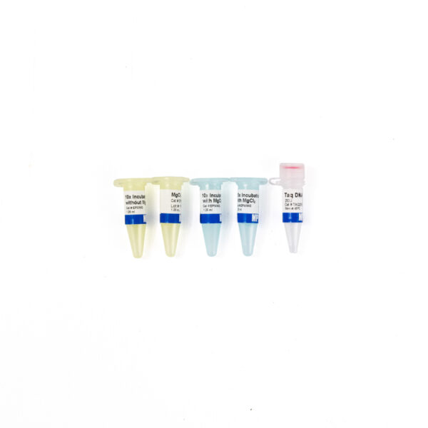 Taq DNA Pol (5U/uL)