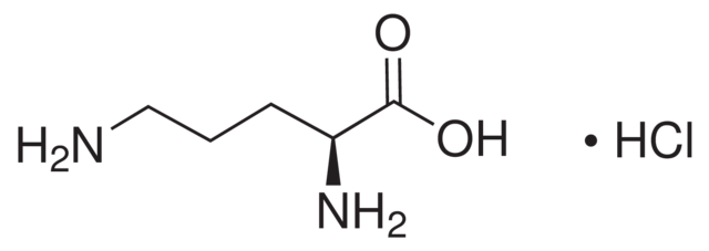 L-Ornithine, hydrochloride