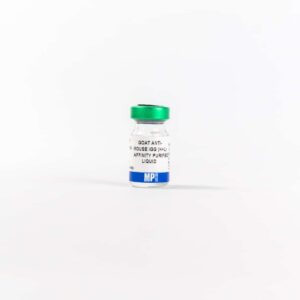 Anti-mouse IgG (H+L) (whole molecule) goat antibody