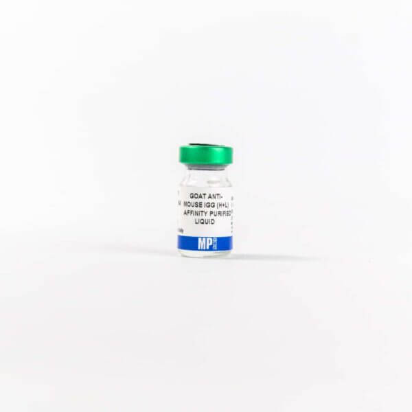 Anti-mouse IgG (H+L) (whole molecule) goat antibody