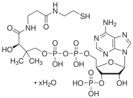 Coenzyme A trihydrate