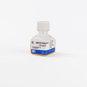 Amphotericin B (250 ug/ml)