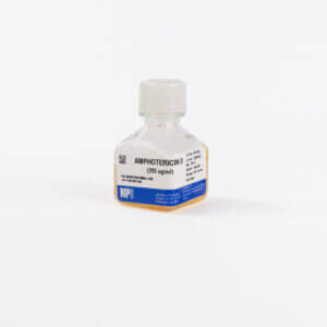 Amphotericin B (250 ug/ml)