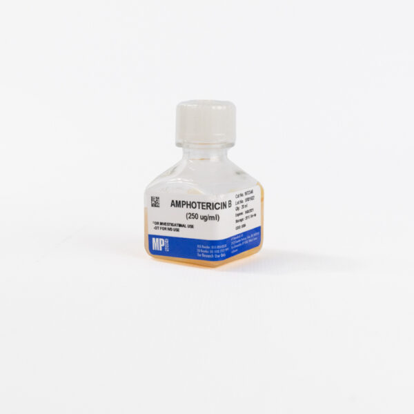 Amphotericin B (250 ug/ml)