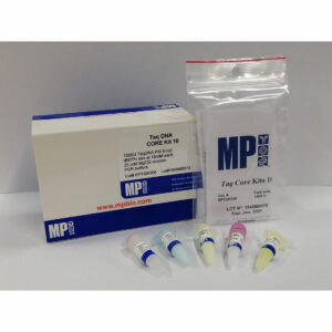 Taq CORE Kit 10