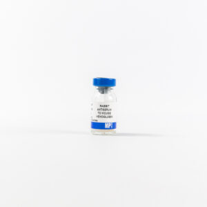 Anti-mouse Hemoglobin rabbit antiserum
