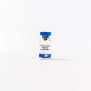 Anti-sheep serum (forensic) goat antiserum