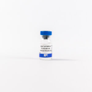 Anti-mouse IgG (whole molecule) goat antiserum