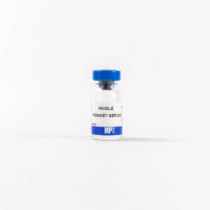 Whole Monkey Serum