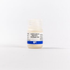 Albumin, human, fraction V (protease free)