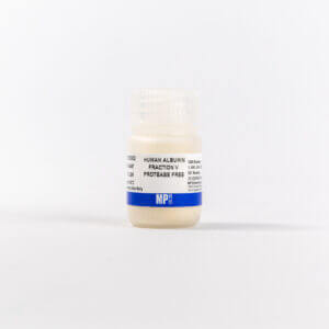 Albumin, human, fraction V (protease free)