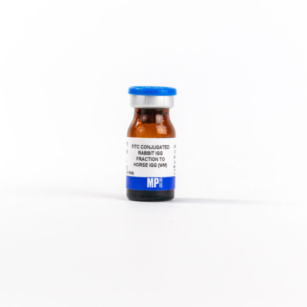 Anti-horse IgG (whole molecule) rabbit IgG fraction, fluores