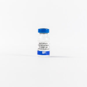 Affinity Purified Goat Anti-Rabbit IgG (H&L)