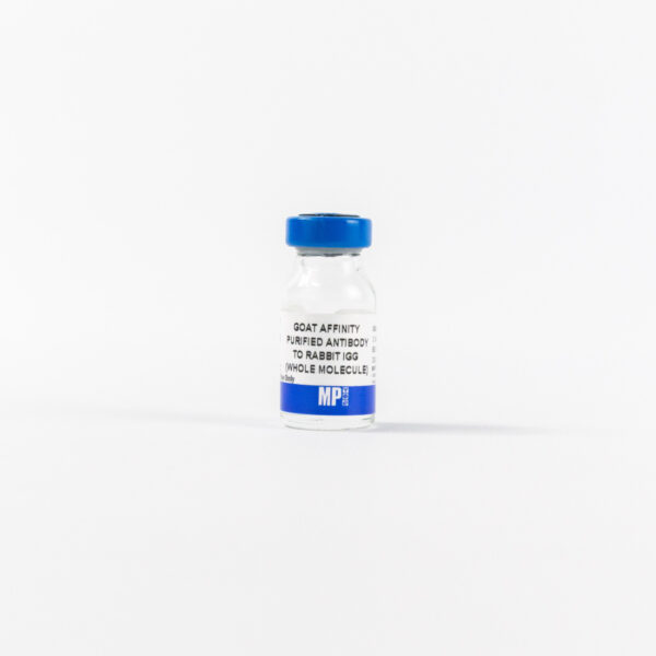 Affinity Purified Goat Anti-Rabbit IgG (H&L)