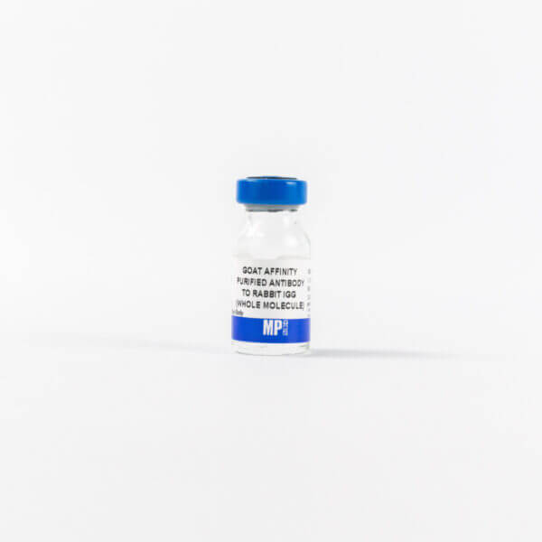 Affinity Purified Goat Anti-Rabbit IgG (H&L)