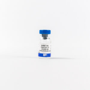 IgG Rabbit Anti-Mouse IgG(H&L)
