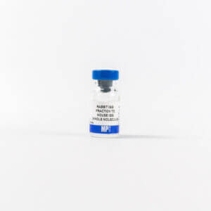 IgG Rabbit Anti-Mouse IgG(H&L)