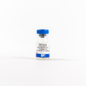Anti-rabbit IgG (no cross anti-human) goat IgG fraction, per