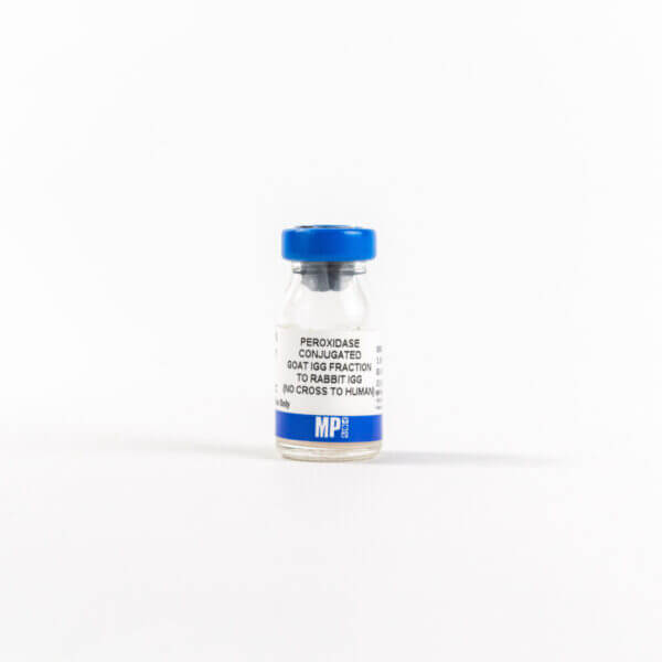 Anti-rabbit IgG (no cross anti-human) goat IgG fraction, per