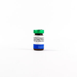 Peroxidase-Conjugated Goat Affinity Purified Antibody to Rab