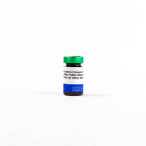 Peroxidase-Conjugated Goat Affinity Purified Antibody to Rab