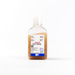 Goat Serum
