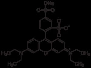 Sulforhodamine B