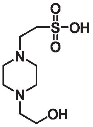 HEPES, free acid, cell culture reagent