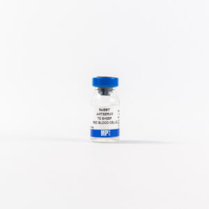 Anti-sheep red blood cells rabbit antiserum