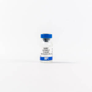 Anti-sheep red blood cells rabbit antiserum