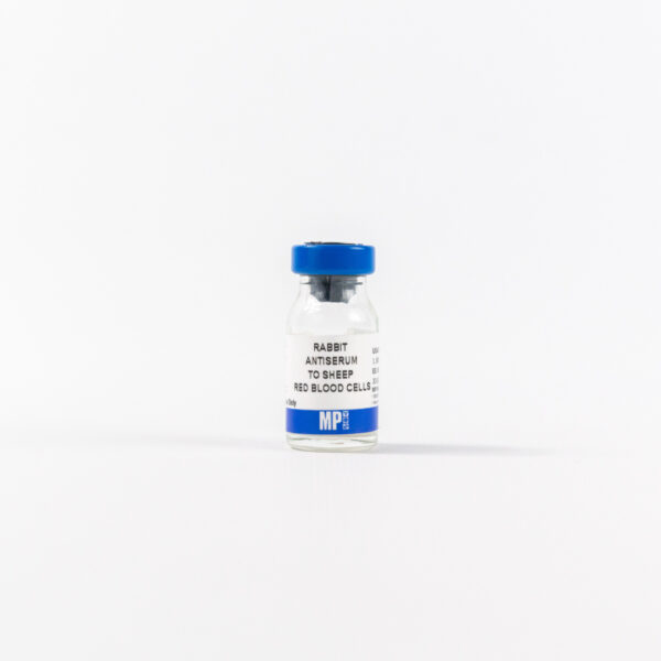Anti-sheep red blood cells rabbit antiserum