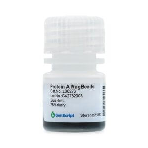 Protein A MagBeads