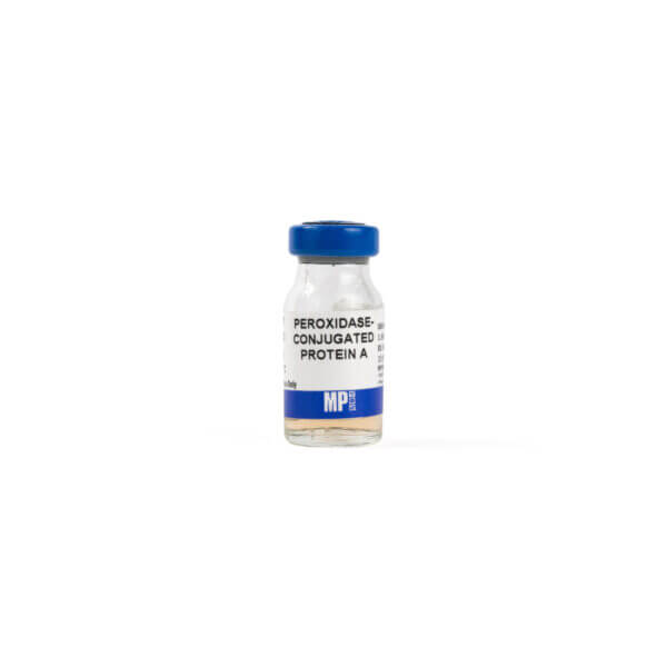 HRP Protein A