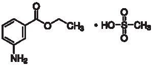 Ethyl-m-aminobenzoate methanesulfonate salt