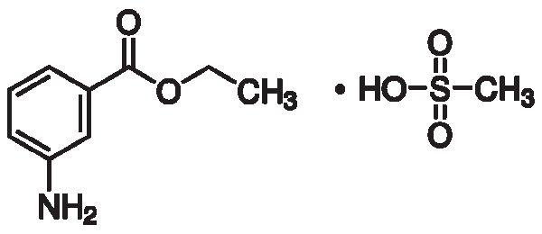 Ethyl-m-aminobenzoate methanesulfonate salt