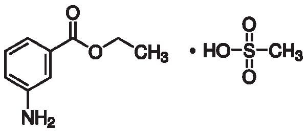 Ethyl-m-aminobenzoate methanesulfonate salt