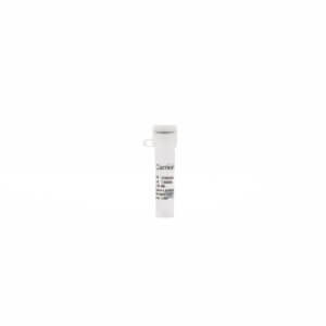 Carrier DNA, 10 mg/mL, sterile