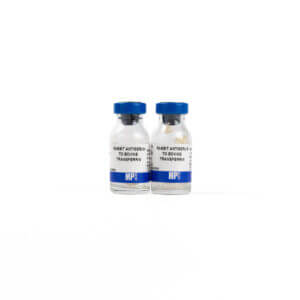 Rabbit Anti-Bovine Transferrin