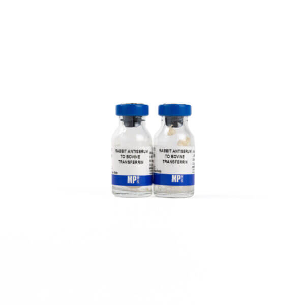 Rabbit Anti-Bovine Transferrin