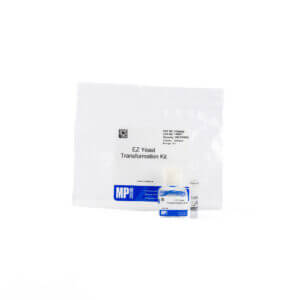 EZ-Yeast transformation kit