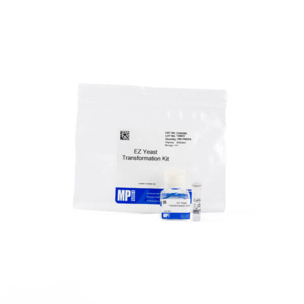 EZ-Yeast transformation kit