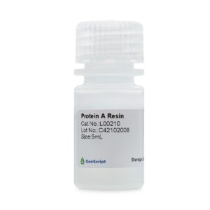 Protein A Resin
