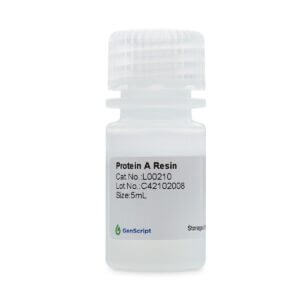 Protein A Resin
