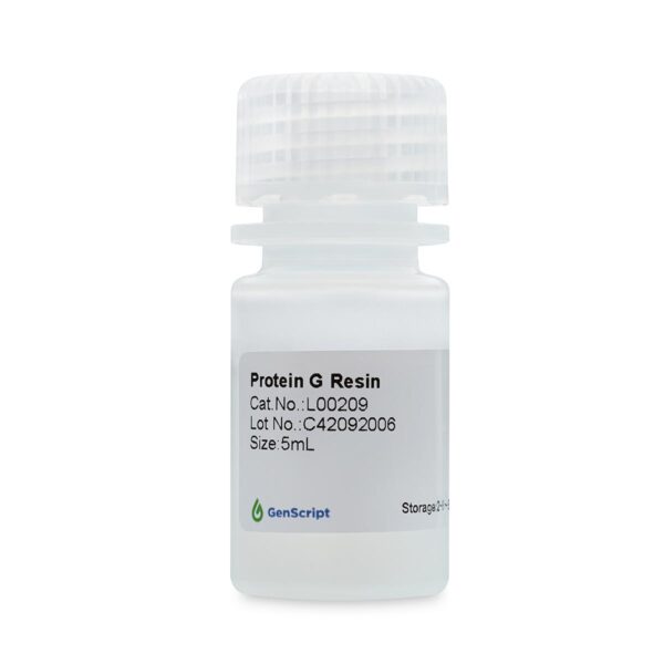 Protein G Resin