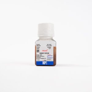 Rabbit Serum