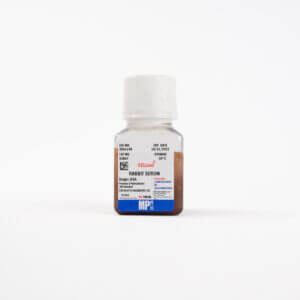 Rabbit Serum