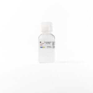 RbCl/CaCl transformation salts, 10X