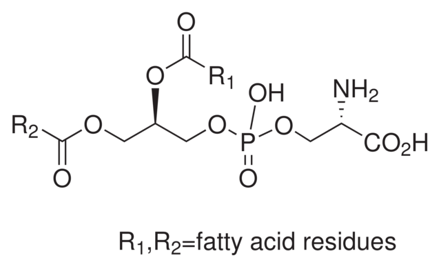 Phosphatidyl-L-serine